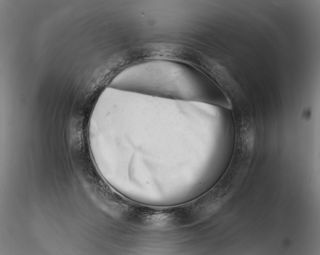 X0000115680312200912031425