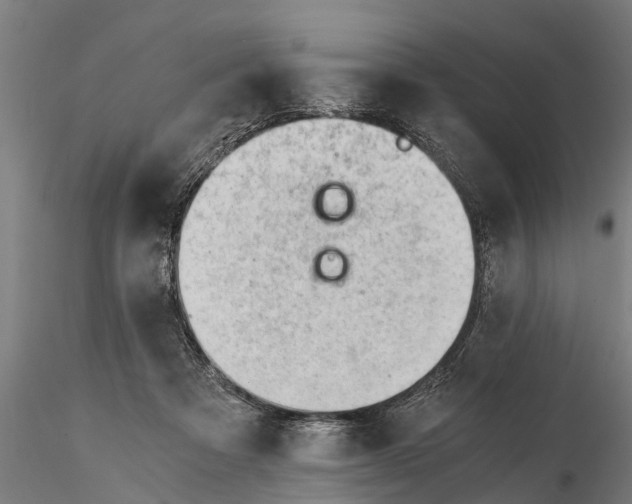 X0000115680313200912031425