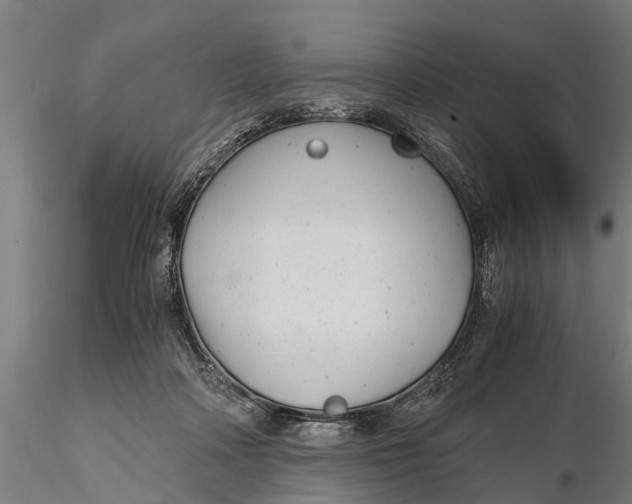 X0000115680314200912031425