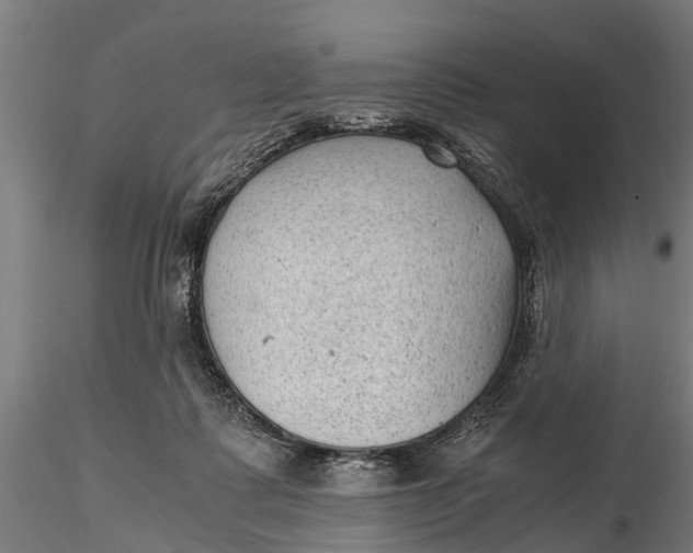 X0000115680315200912031425