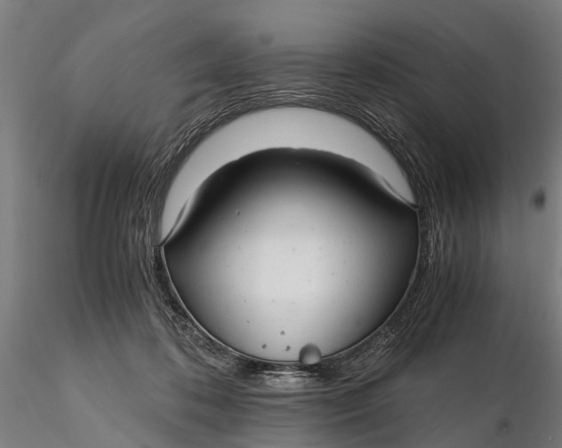 X0000115680316200912031425