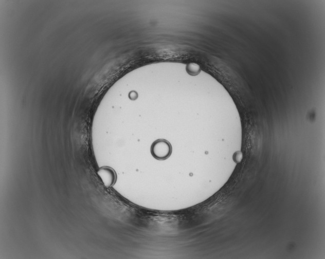 X0000115680317200912031425