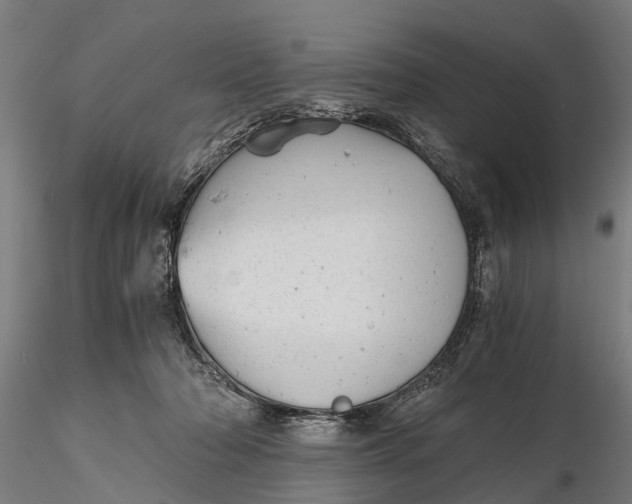 X0000115680318200912031425