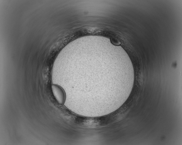 X0000115680319200912031425