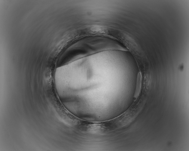 X0000115680320200912031425