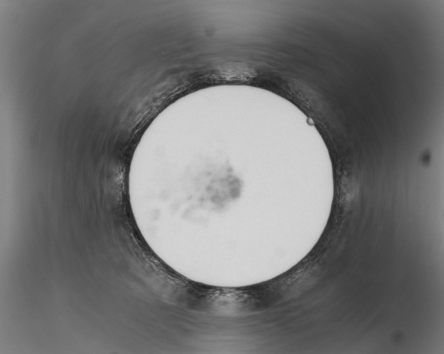 X0000115680321200912031425