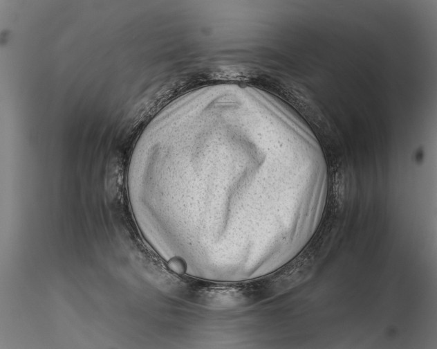 X0000115680322200912031425