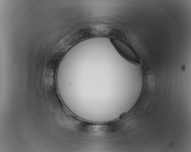 X0000115680323200912031425