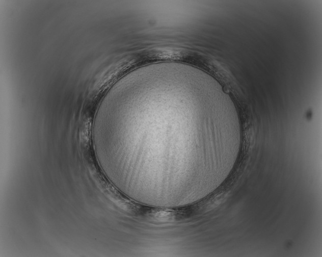 X0000115680325200912031425