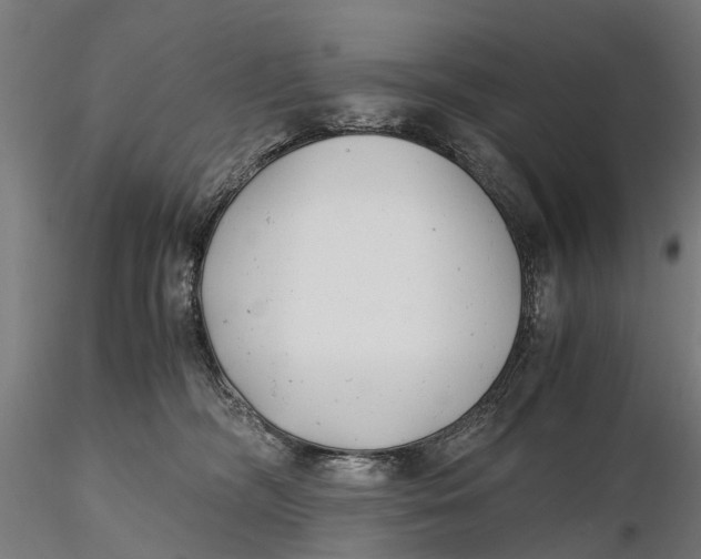 X0000115680326200912031425