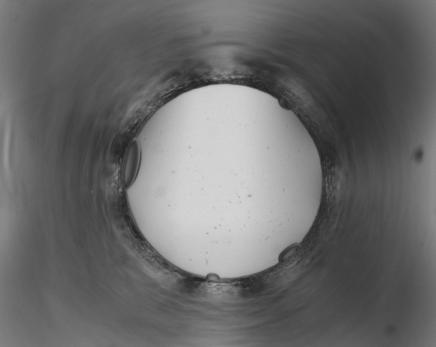 X0000115680327200912031425