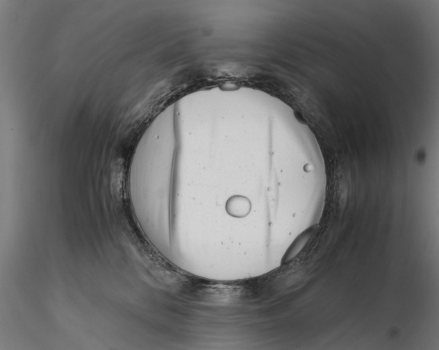 X0000115680328200912031425