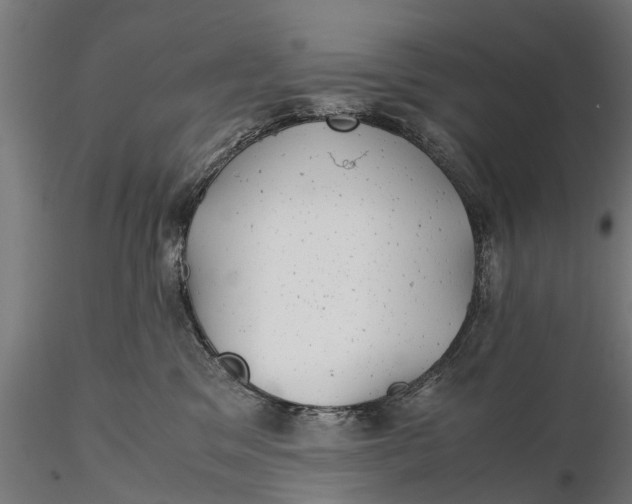 X0000115680329200912031425