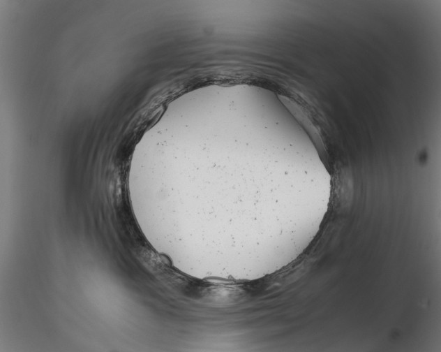 X0000115680333200912031425