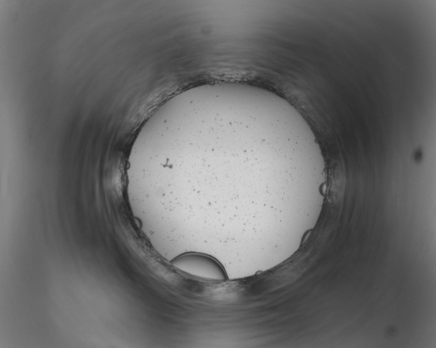 X0000115680334200912031425