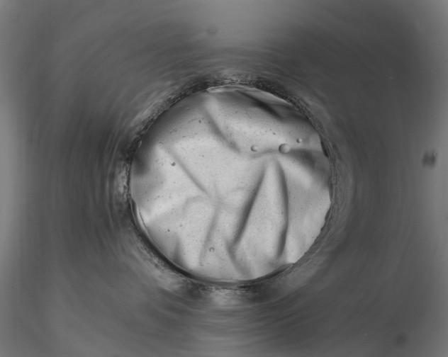 X0000115680336200912031425