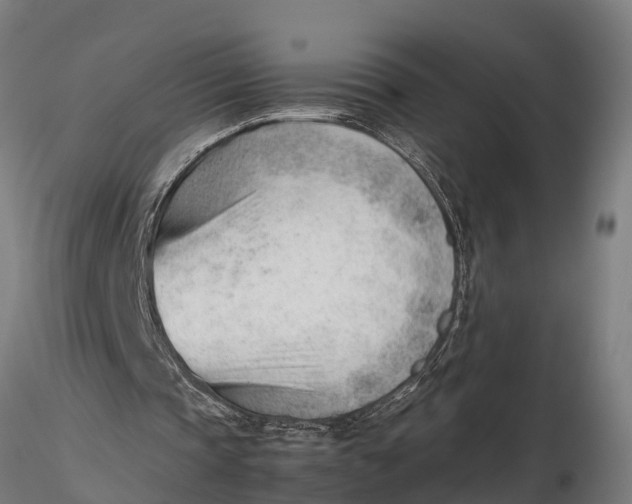 X0000115680337200912031424