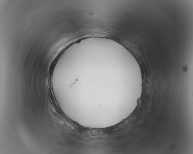 X0000115680338200912031424