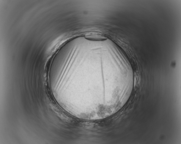 X0000115680339200912031424