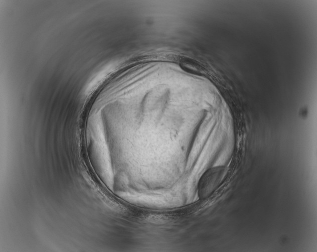 X0000115680341200912031424