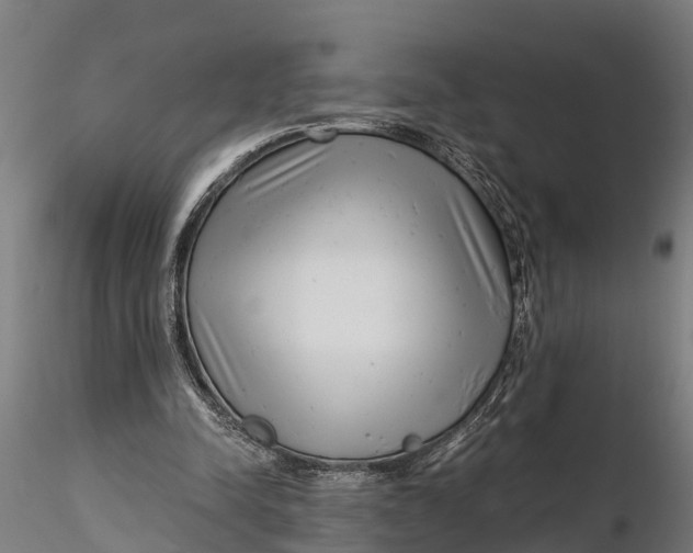 X0000115680342200912031424