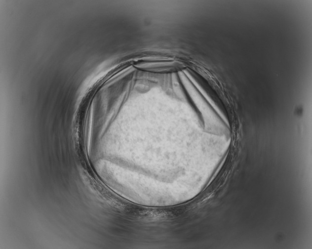 X0000115680343200912031424