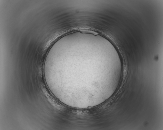 X0000115680345200912031424