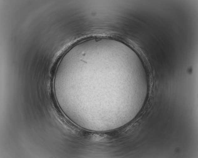 X0000115680346200912031424