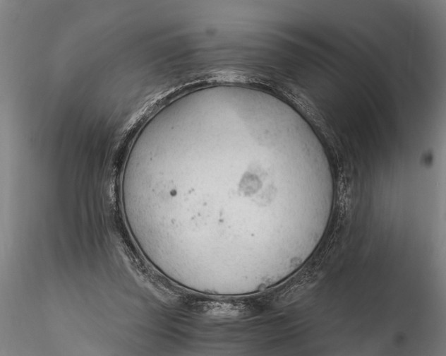 X0000115680347200912031424