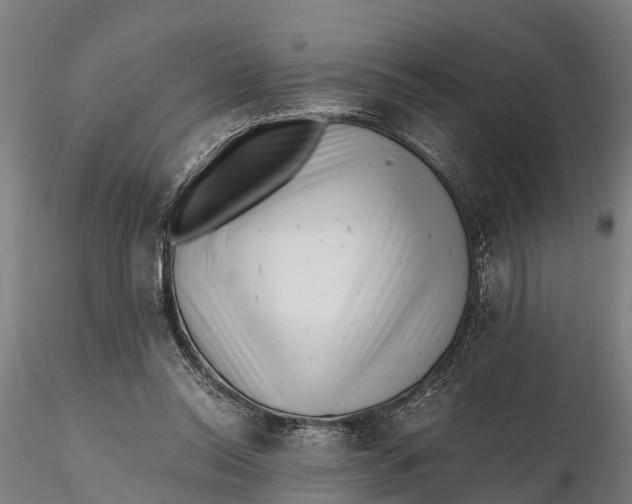 X0000115680350200912031424