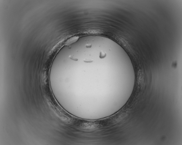 X0000115680351200912031424