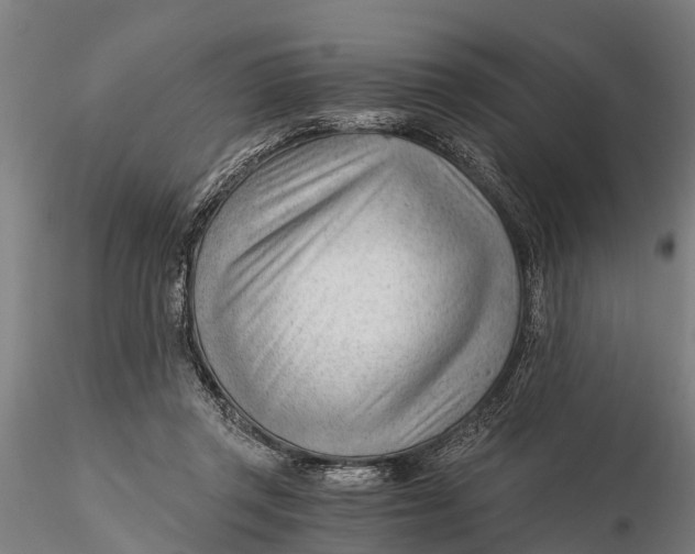 X0000115680357200912031424