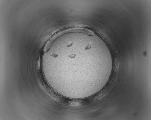 X0000115680358200912031424