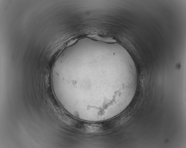 X0000115680359200912031424