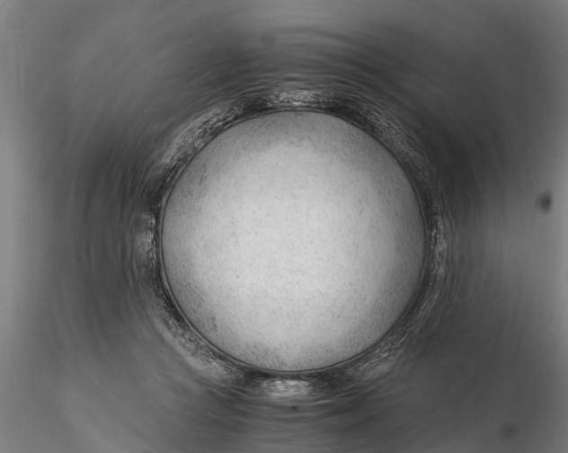 X0000115680361200912031424