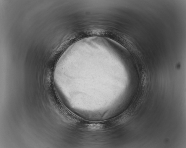 X0000115680363200912031424