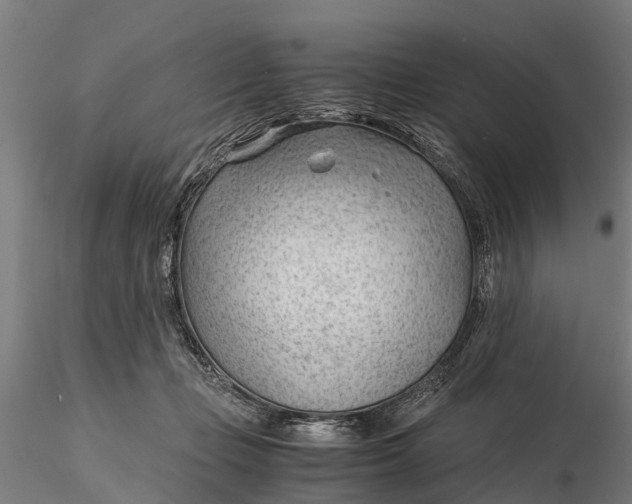 X0000115680365200912031424