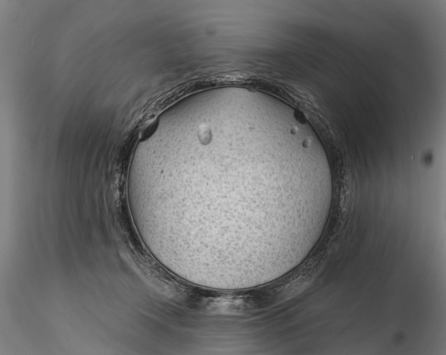 X0000115680366200912031425