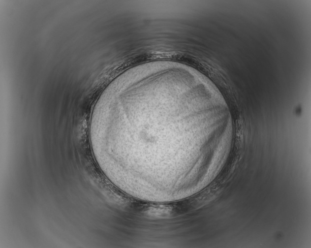 X0000115680369200912031425