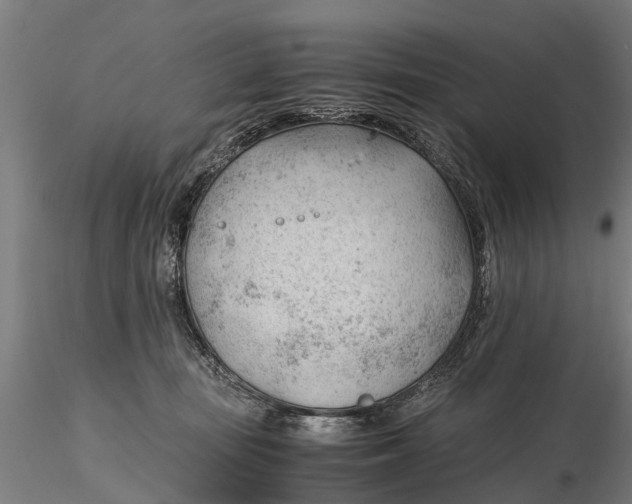 X0000115680371200912031425