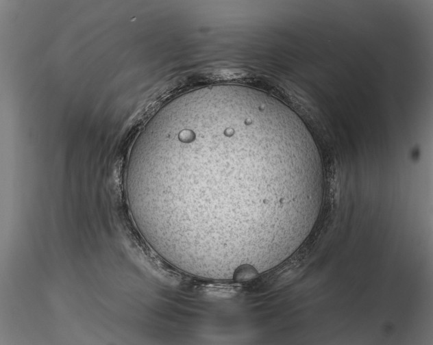 X0000115680373200912031425