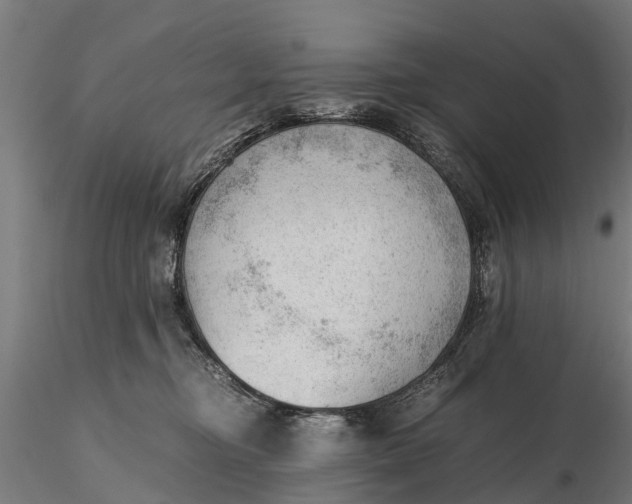 X0000115680374200912031425