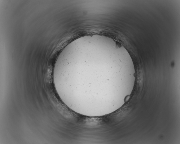 X0000115680378200912031425