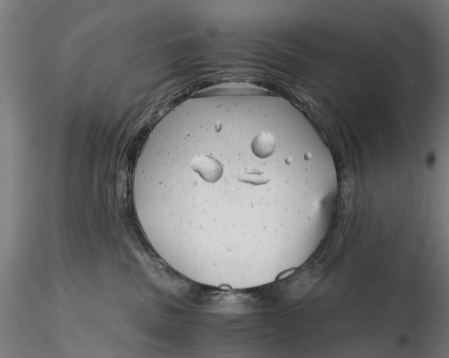 X0000115680379200912031425