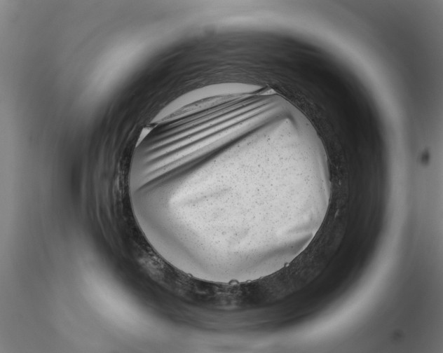 X0000115680382200912031425