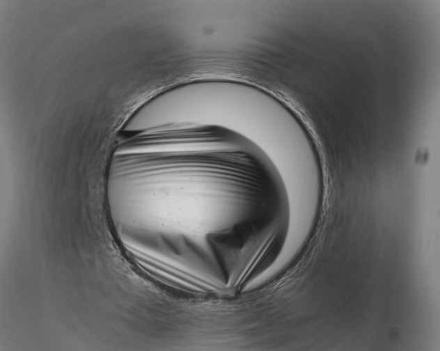 X0000115680385200912031424