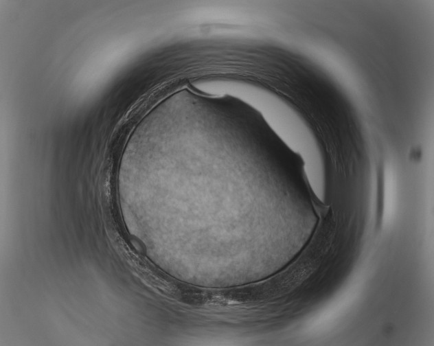 X0000115680387200912031424