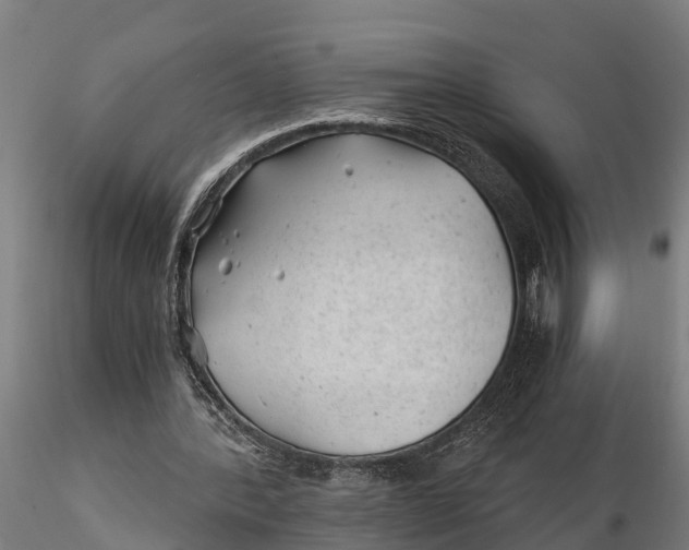 X0000115680388200912031424