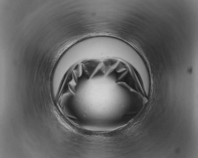 X0000115680389200912031424