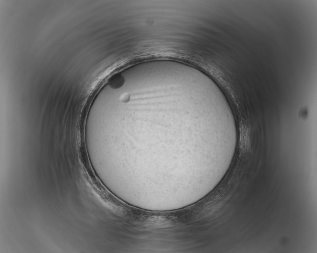 X0000115680390200912031424